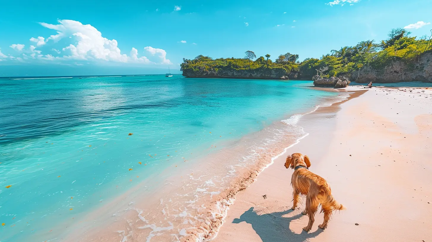 Amazing Beach Destinations That Are Dog-Friendly
