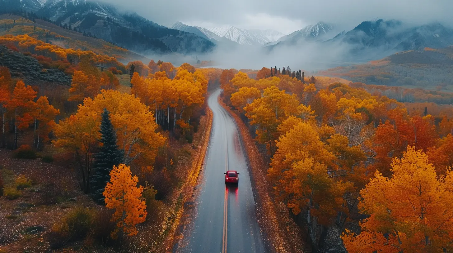 Chasing the Fall Colors: Scenic Autumn Road Trips