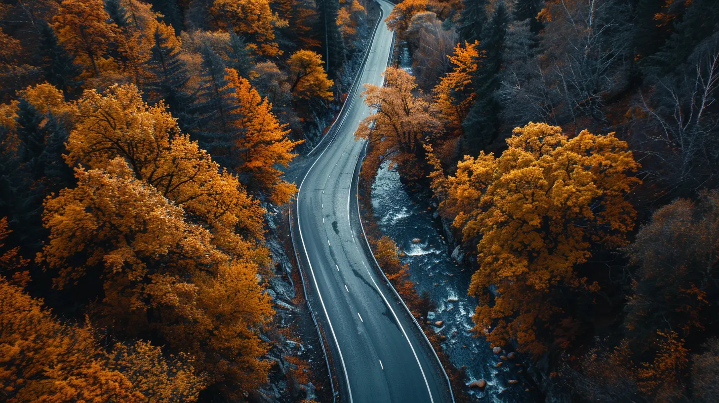 Chasing the Fall Colors: Scenic Autumn Road Trips