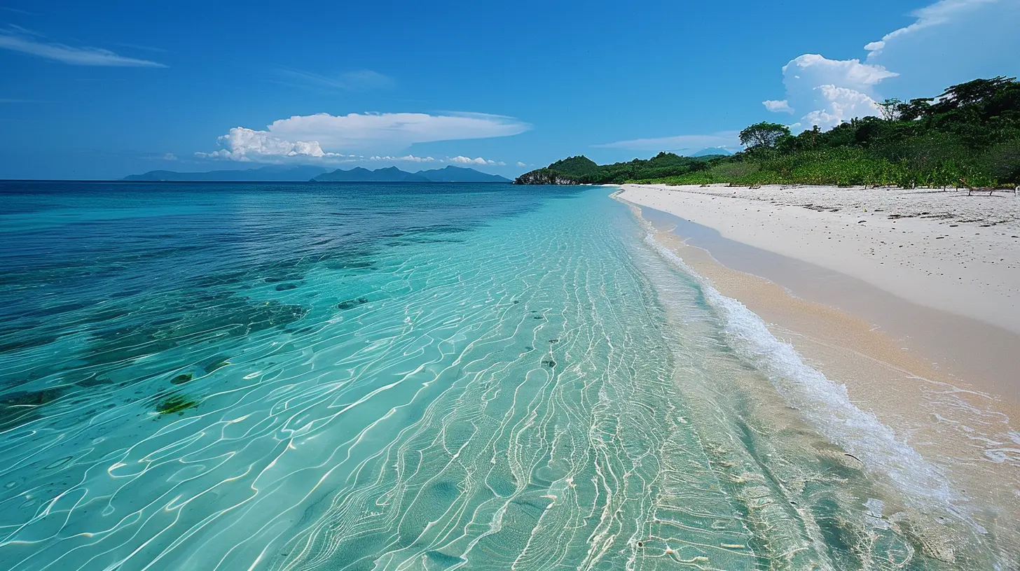 Coastal National Parks That Offer the Best Beach Experiences