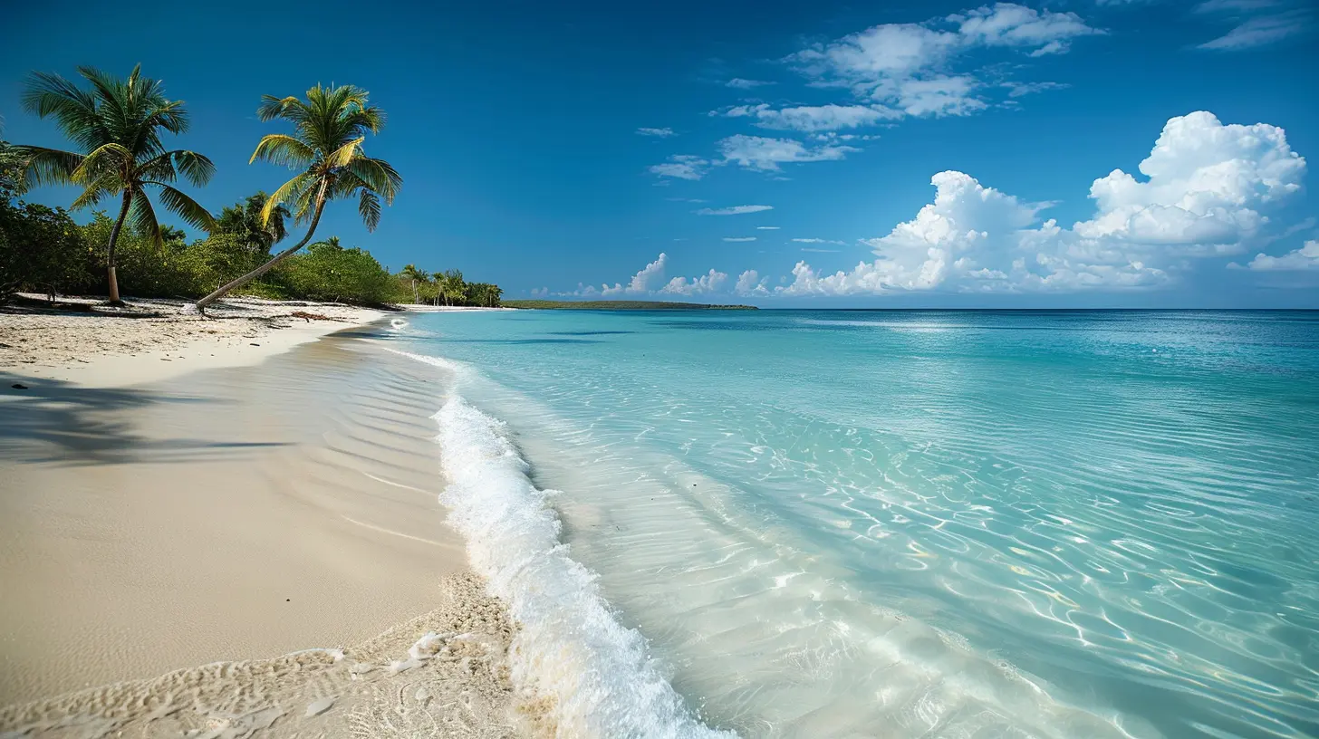 Coastal National Parks That Offer the Best Beach Experiences