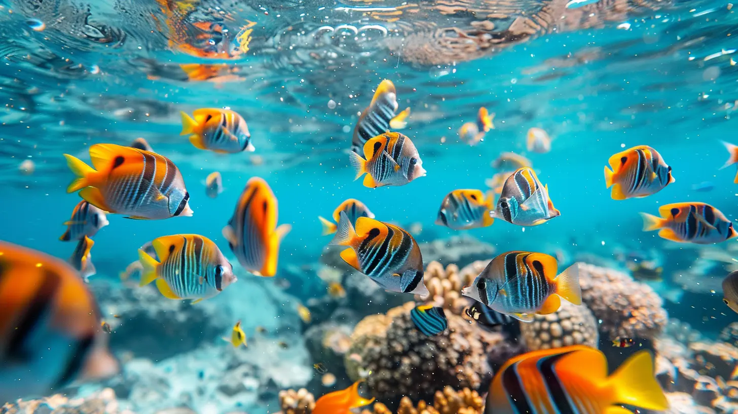 Marine Life Encounters: Best Beaches for Snorkeling and Diving