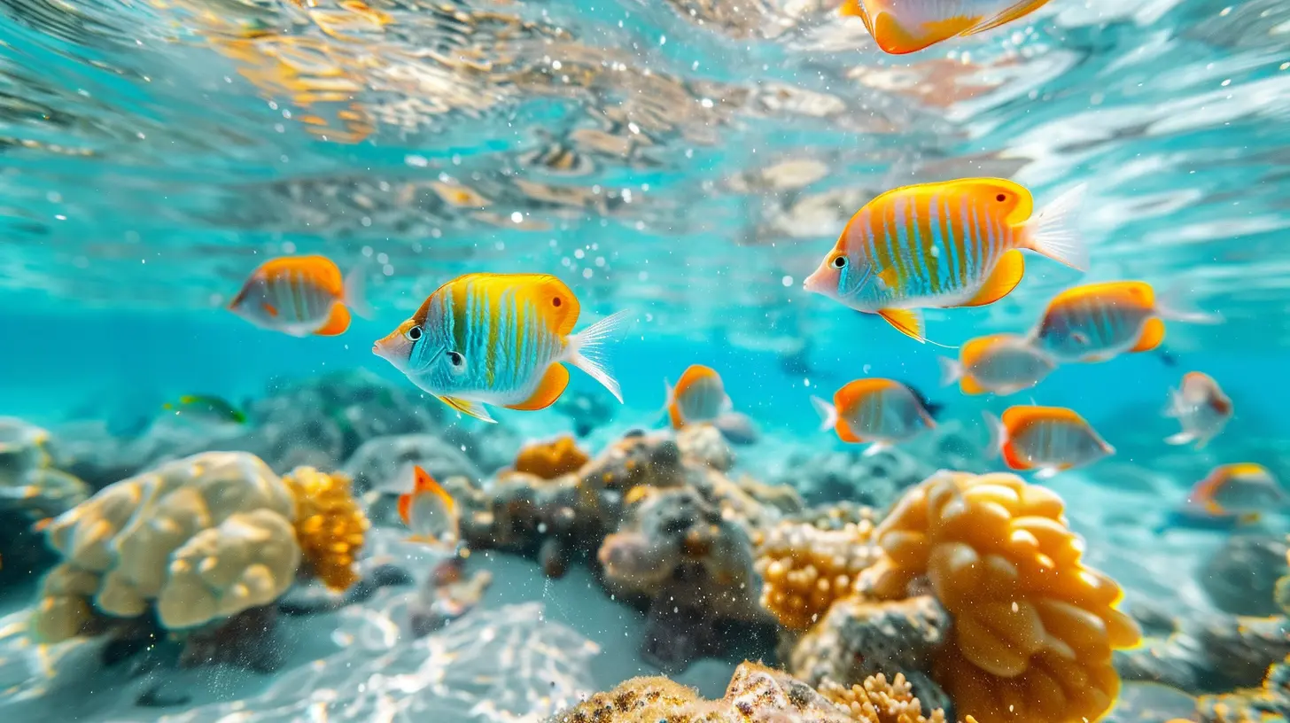 Marine Life Encounters: Best Beaches for Snorkeling and Diving