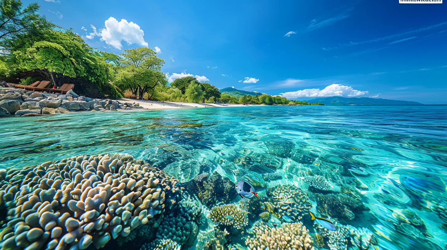 Marine Life Encounters: Best Beaches for Snorkeling and Diving