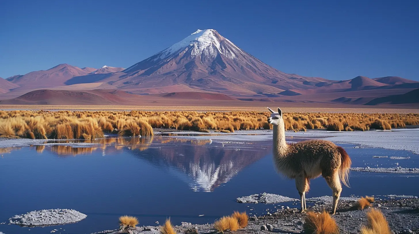 The Allure of Chile’s Atacama Desert