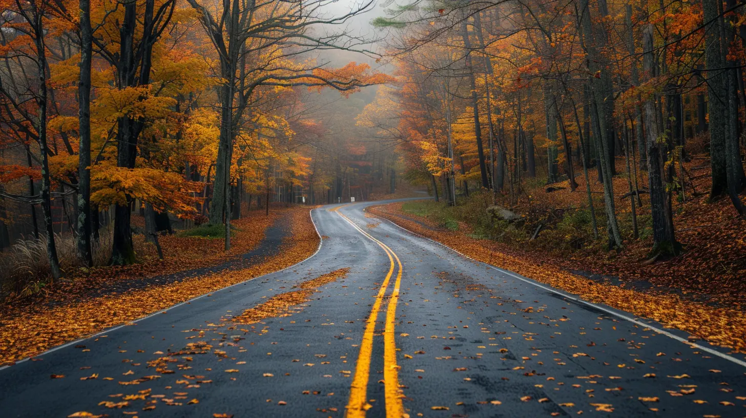 Through the Seasons: Road Trips That Shine Year-Round