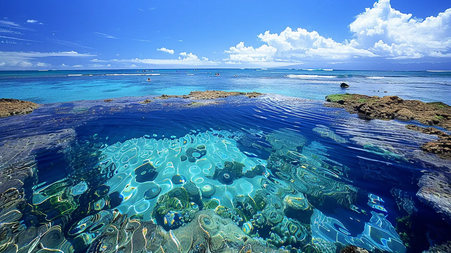 Tidal Pools and Marine Life: Unique Beach Experiences