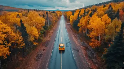 Chasing the Fall Colors: Scenic Autumn Road Trips
