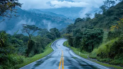 Ecuadors Avenue Of Volcanoes A Must Do Road Trip