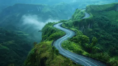 Highways to Happiness: Feeling Free on the Open Road