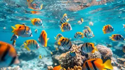 Marine Life Encounters: Best Beaches for Snorkeling and Diving