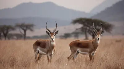 The Best Regions to See Wildlife in East Africa