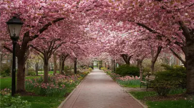 Top Blossom-Filled Destinations for Spring 2027