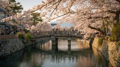 Where To See Cherry Blossoms Outside Japan In 2026
