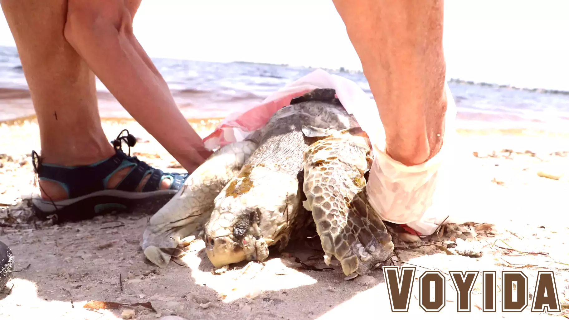 NOAA Reports Significant Economic Impact from 2018 Red Tide Outbreak