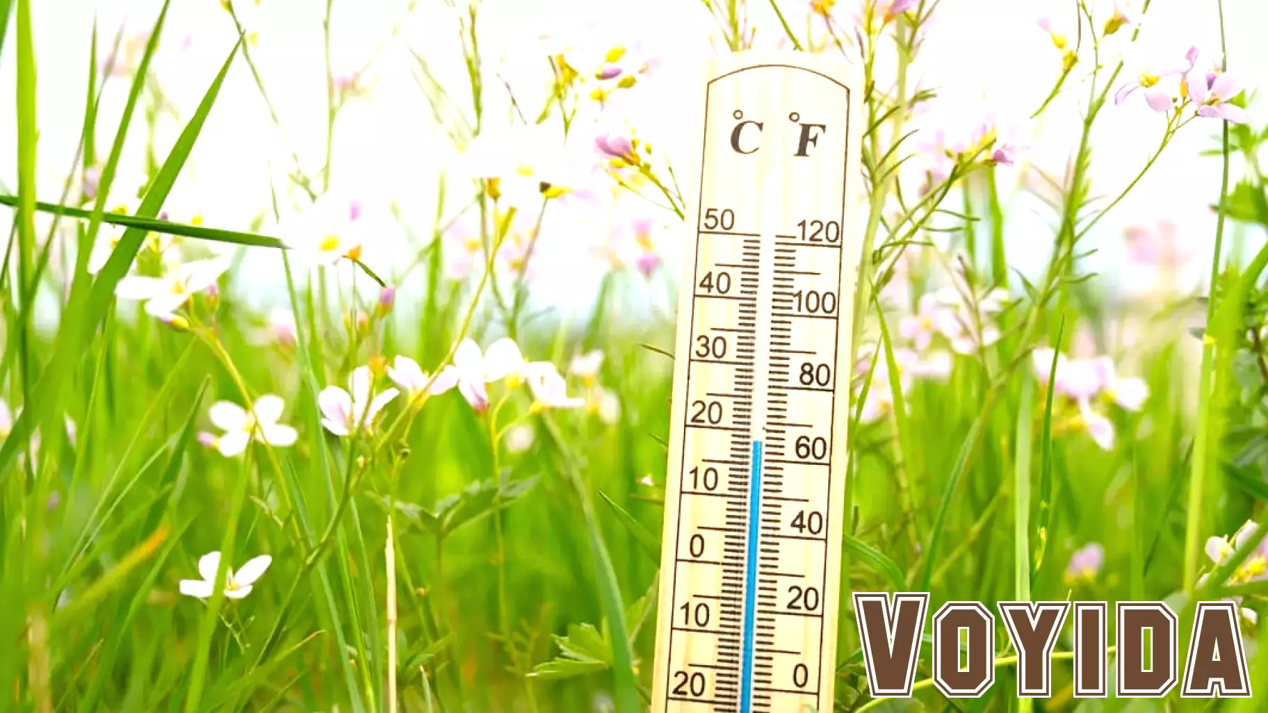 The Impact of Rising Heatwaves on Travel Trends
