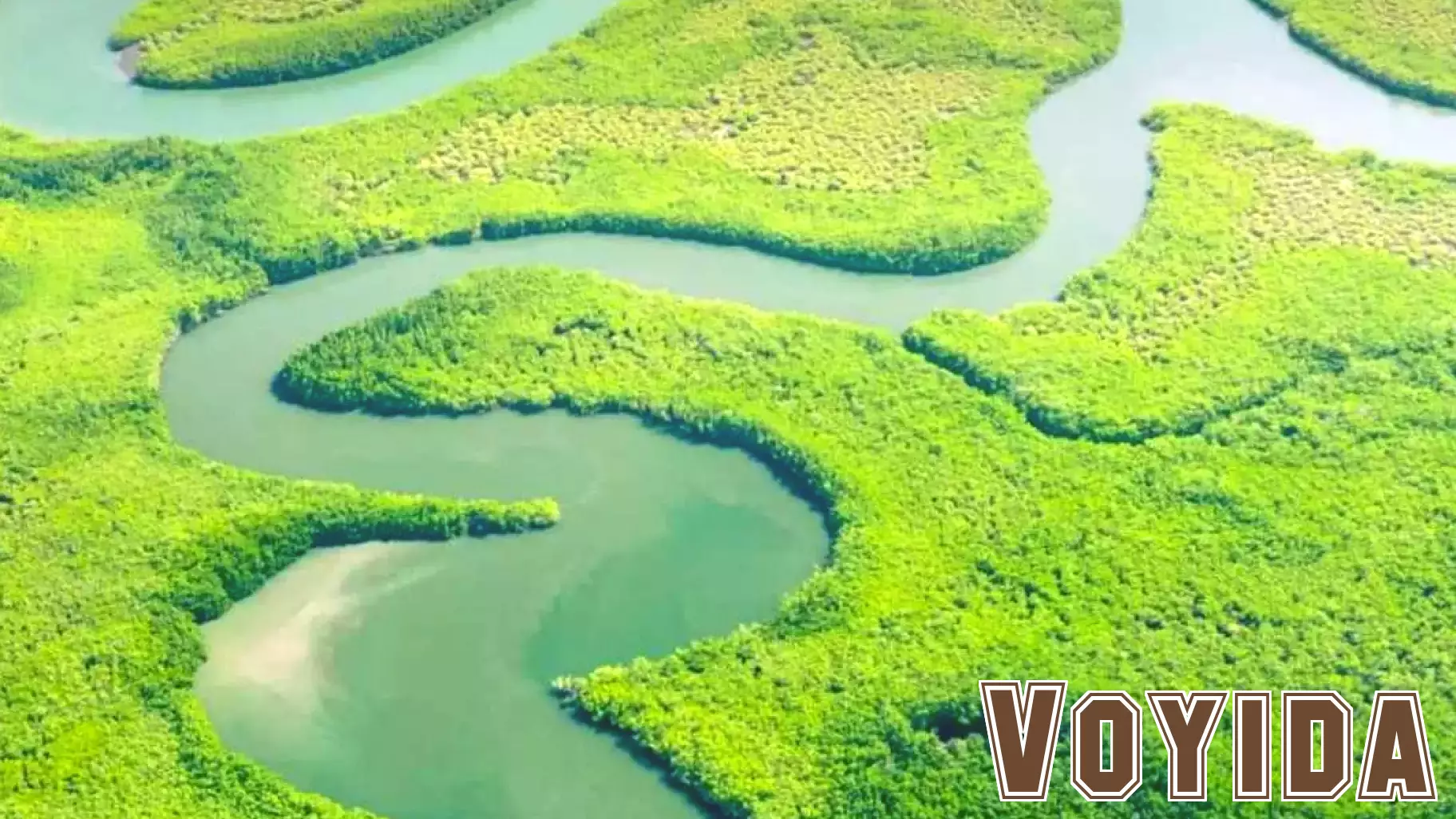 Tourism Takes Center Stage at COP30: A Focus on Climate Action and Collaboration