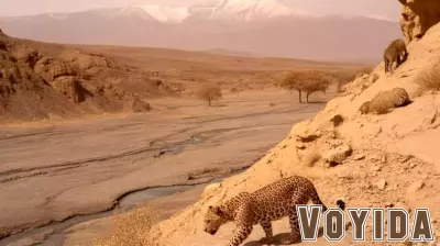 Environmental Damage in Iran: A Threat to Nature, Tourism and Sustainability, Everything You Need to Know - Travel And Tour World